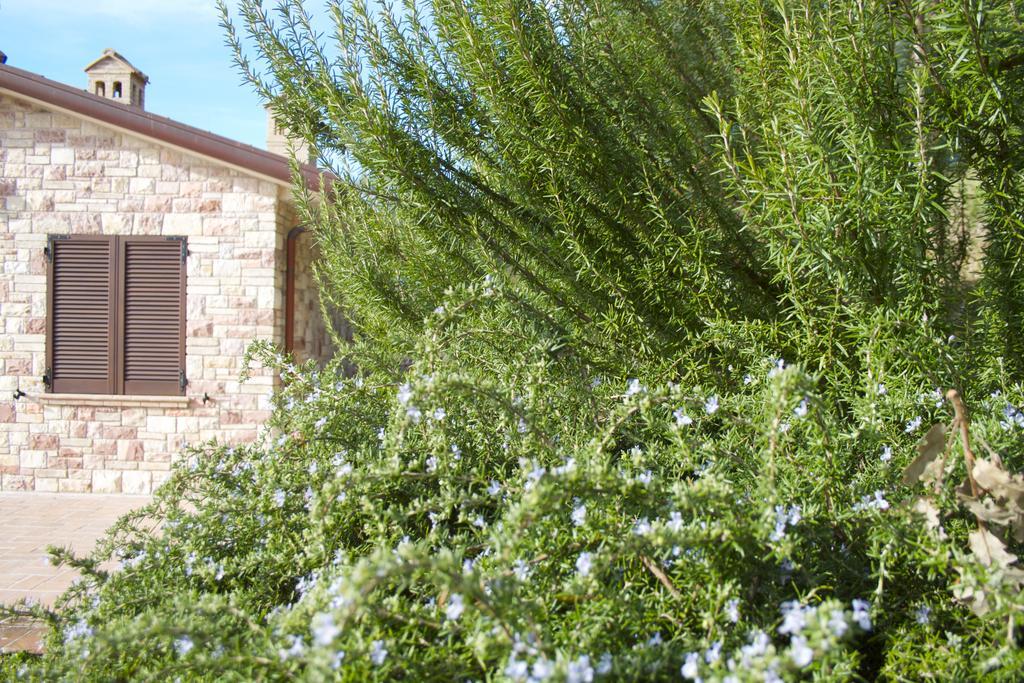 B&B Lavanda E Rosmarino Ассізі Екстер'єр фото