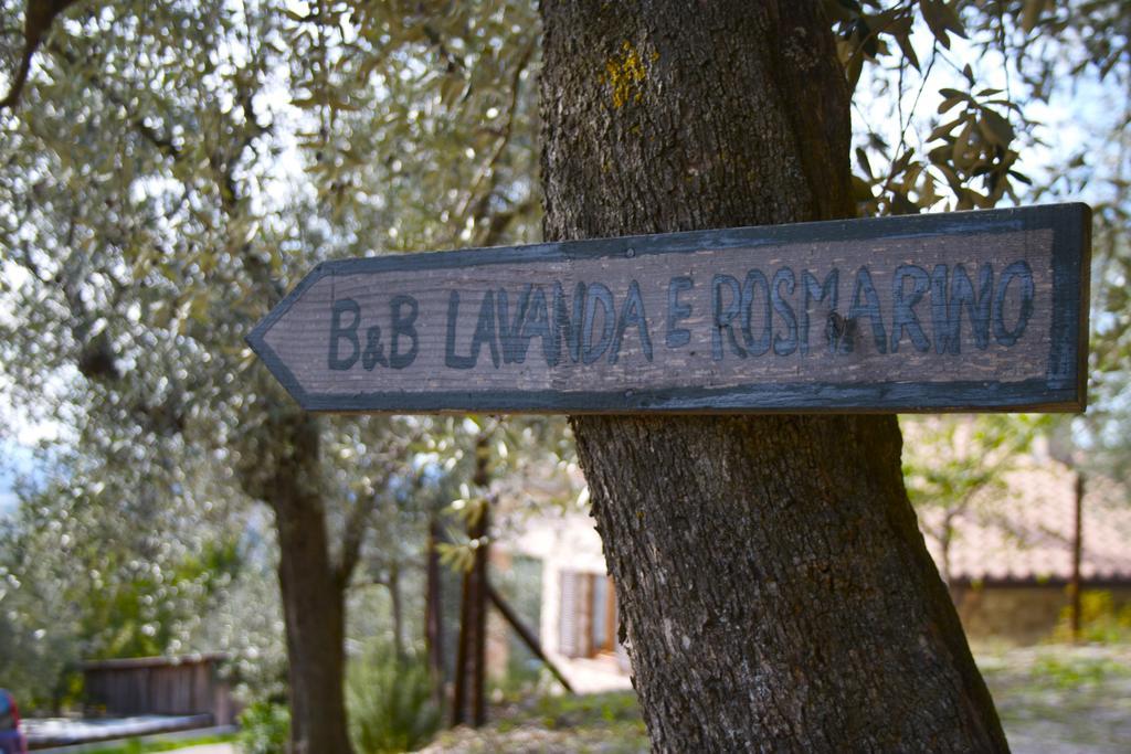 B&B Lavanda E Rosmarino Ассізі Екстер'єр фото