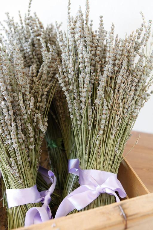 B&B Lavanda E Rosmarino Ассізі Екстер'єр фото