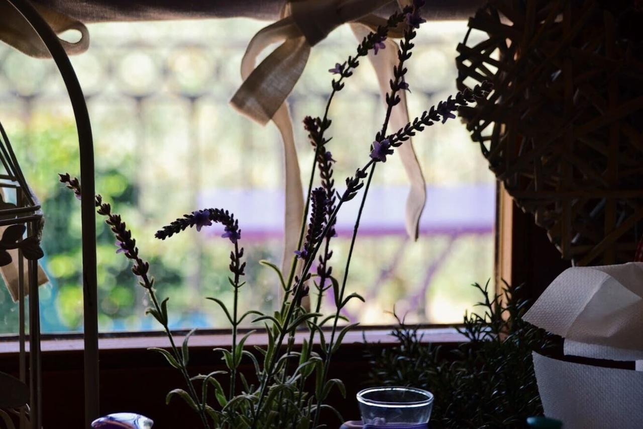 B&B Lavanda E Rosmarino Ассізі Екстер'єр фото